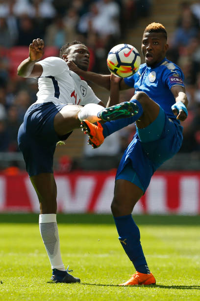 家队的年轻 家队的年轻